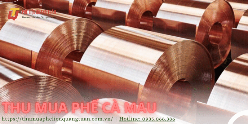 Thu mua phế liệu Cà Mau giá cao, tận nơi