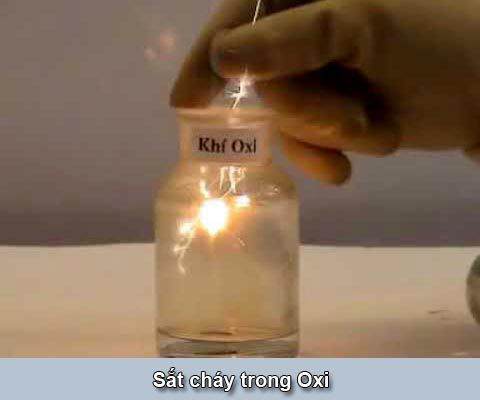 Tìm hiểu tính chất hoá học của các kim loại