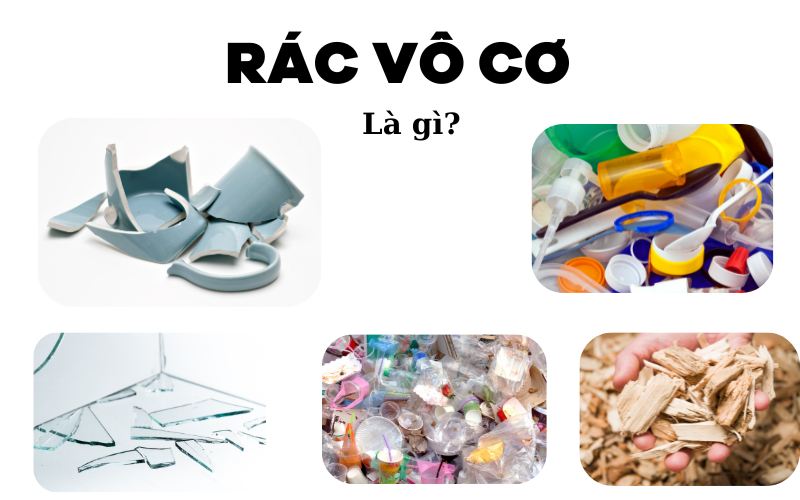 Tìm hiểu về rác thải hữu cơ, vô cơ và có thể tái chế