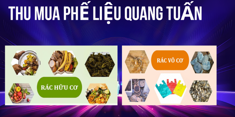 Tìm hiểu về rác thải hữu cơ, vô cơ và có thể tái chế