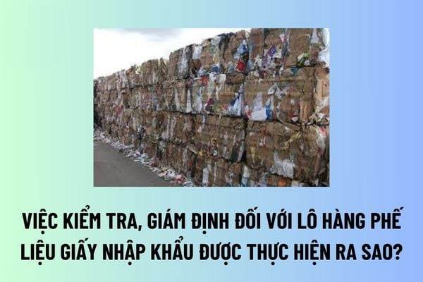 Tiêu chuẩn nhập khẩu phế liệu – Những quy định quan trọng cần nắm rõ